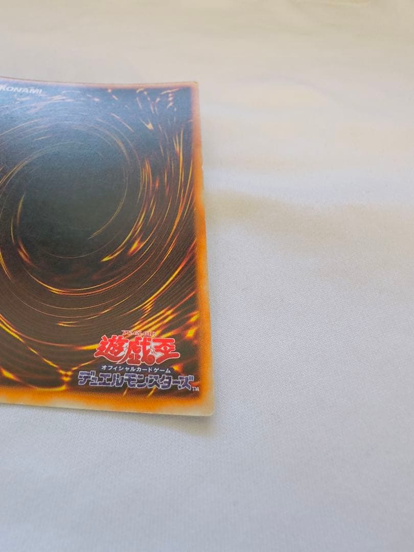 ホーリーナイトドラゴン　初期　シク