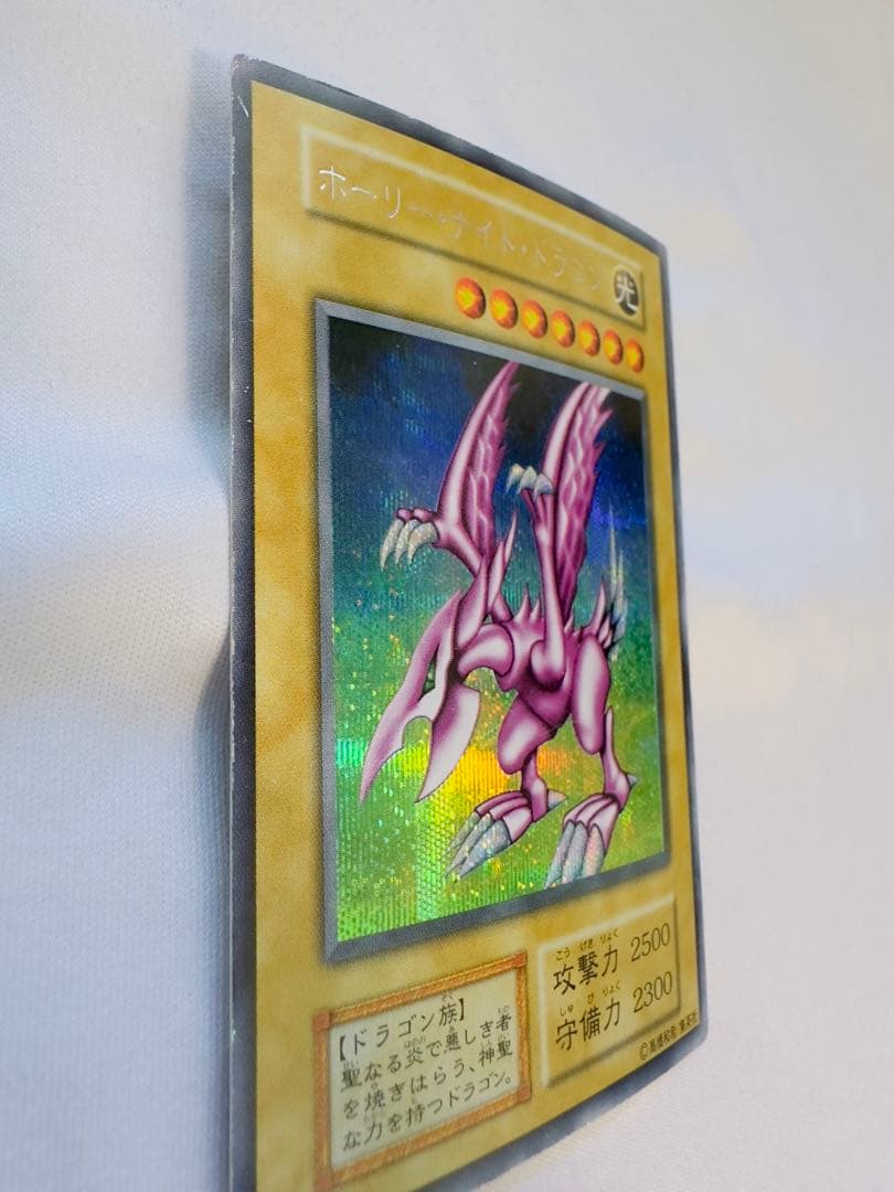 ホーリーナイトドラゴン　初期　シク