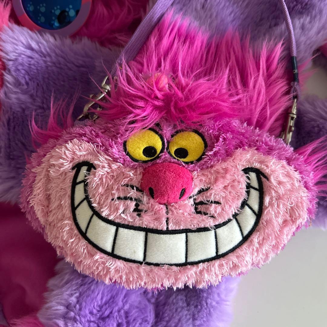 ディズニー　チシャ猫　フード付きマフラー　パスケース　サングラス　セット