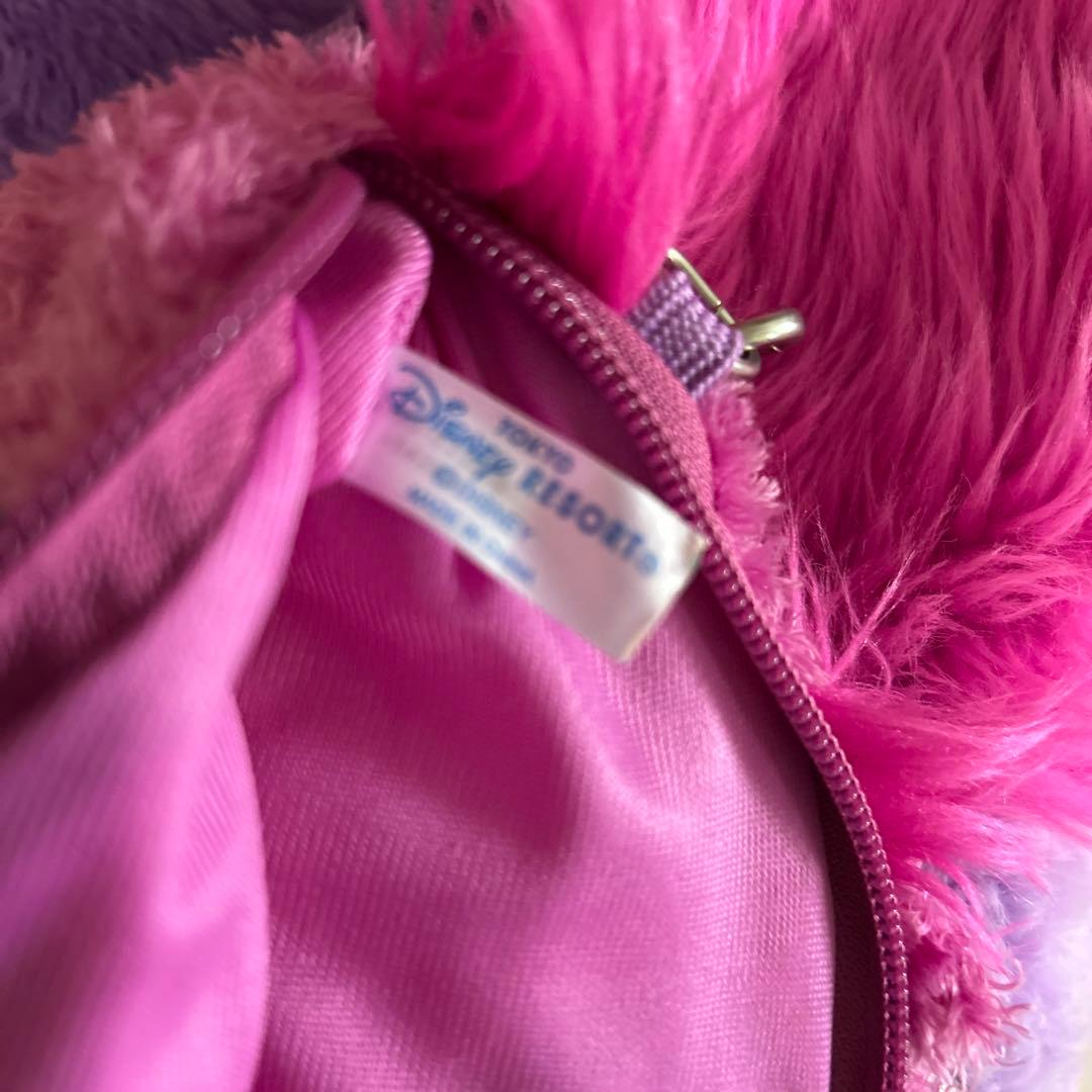 ディズニー　チシャ猫　フード付きマフラー　パスケース　サングラス　セット