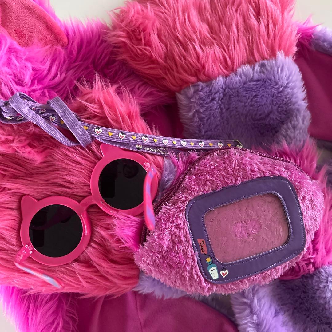 ディズニー　チシャ猫　フード付きマフラー　パスケース　サングラス　セット