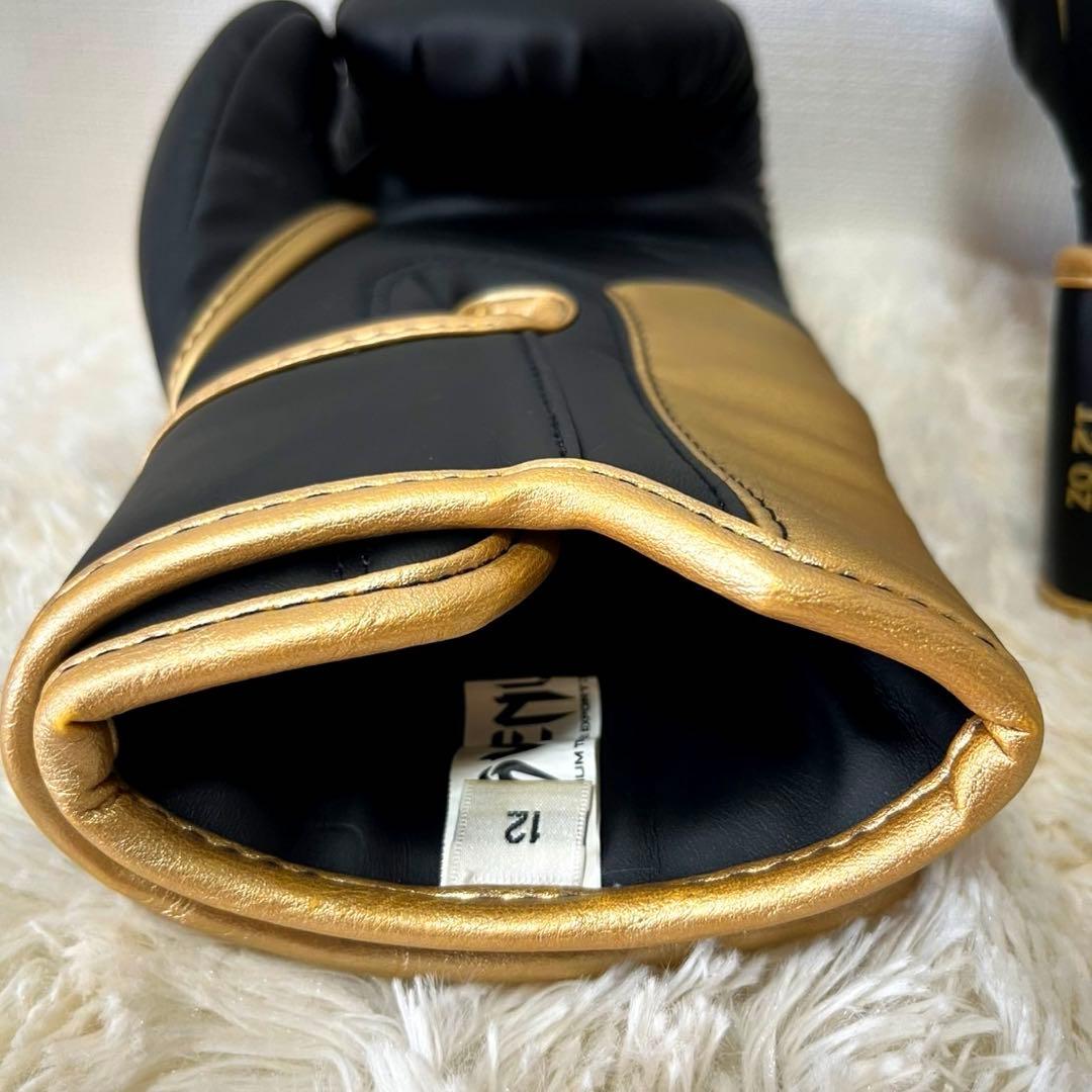 【未使用級】Venum Petrosyan ボクシンググローブ 12Oz