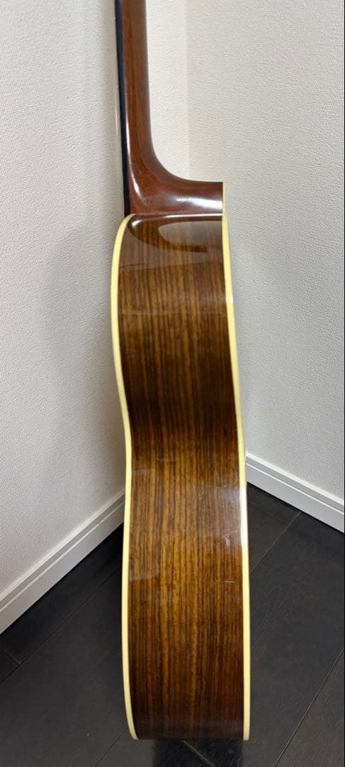 ギター Martin OMJM john mayer lrbaggs HIFH Duet