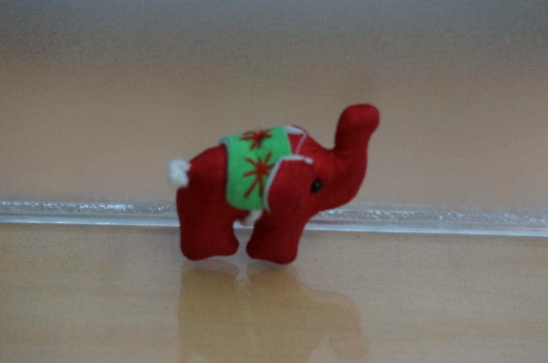 SONY α NEX-5R ソニー シルバー ボディ ミラーレスカメラ 付属品多