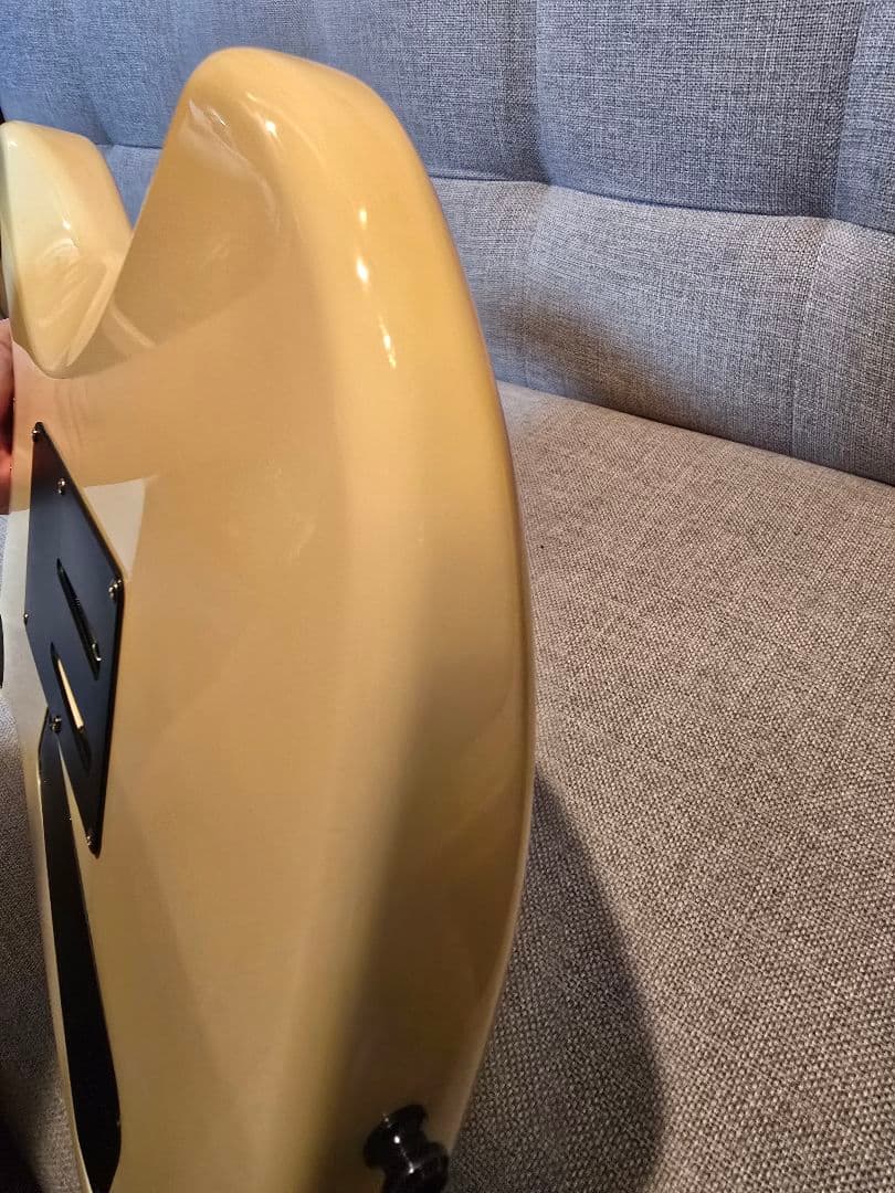 ESP カスタムオーダー エレキギター