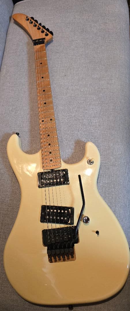 ESP カスタムオーダー エレキギター