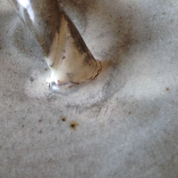 ¥30,000からお値下げ中　二代目 青龍洞(勝尾黎彦) 粉引 水差