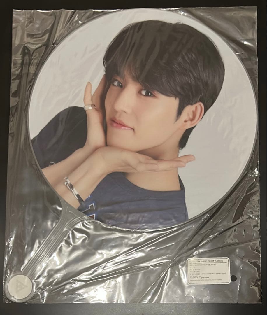 エスクプス うちわ まとめ売り ソウルコン ケレン ペンミ SEVENTEEN