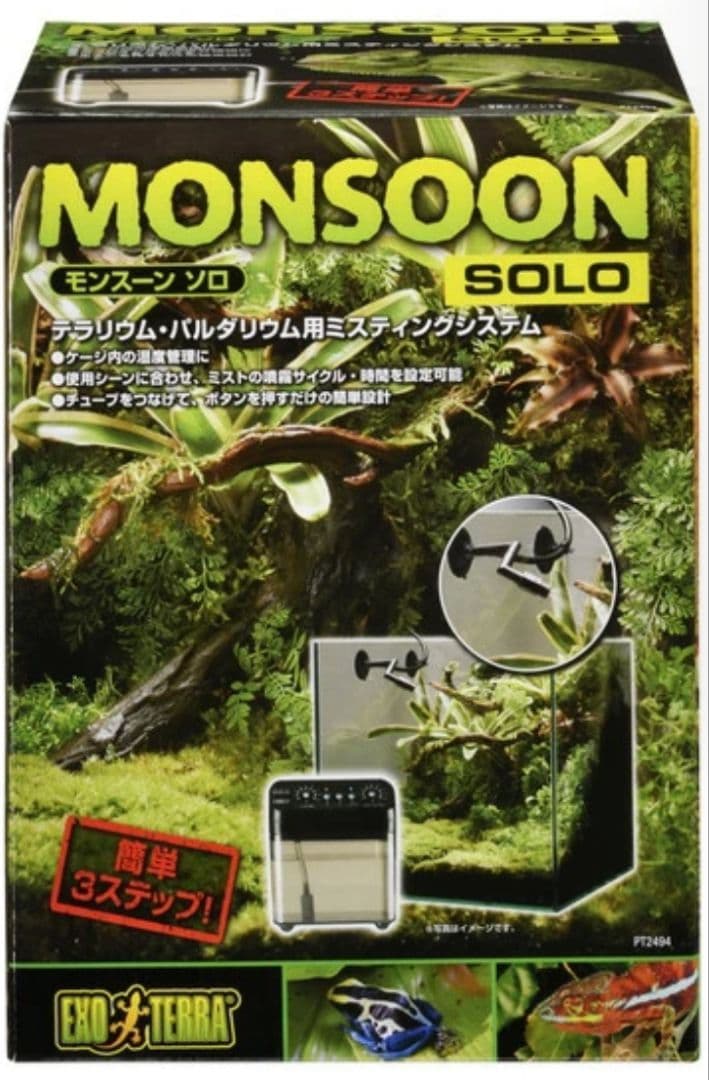 モンスーン　ソロ