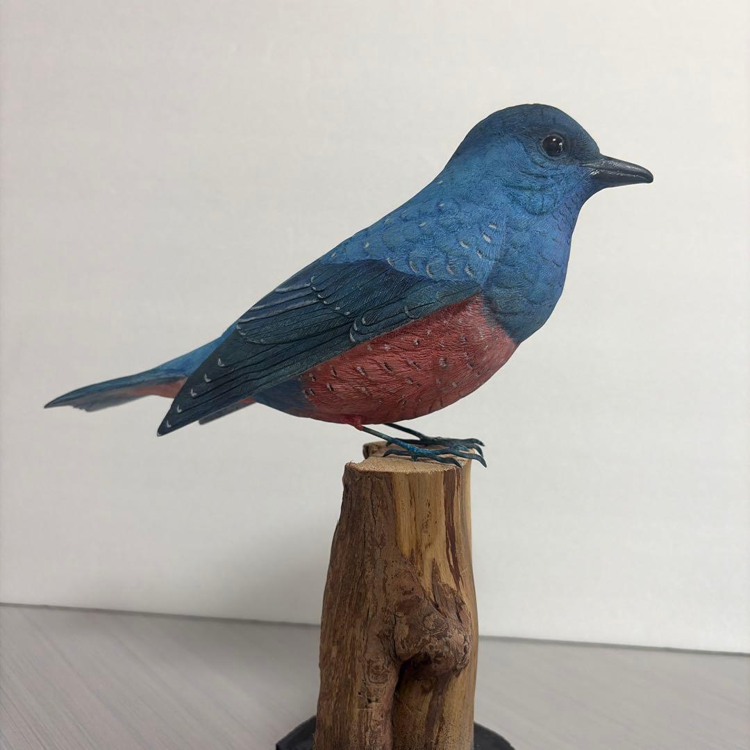 イソヒヨドリ　木彫りの野鳥　野鳥彫刻 　　　　　　リアルバードカービング