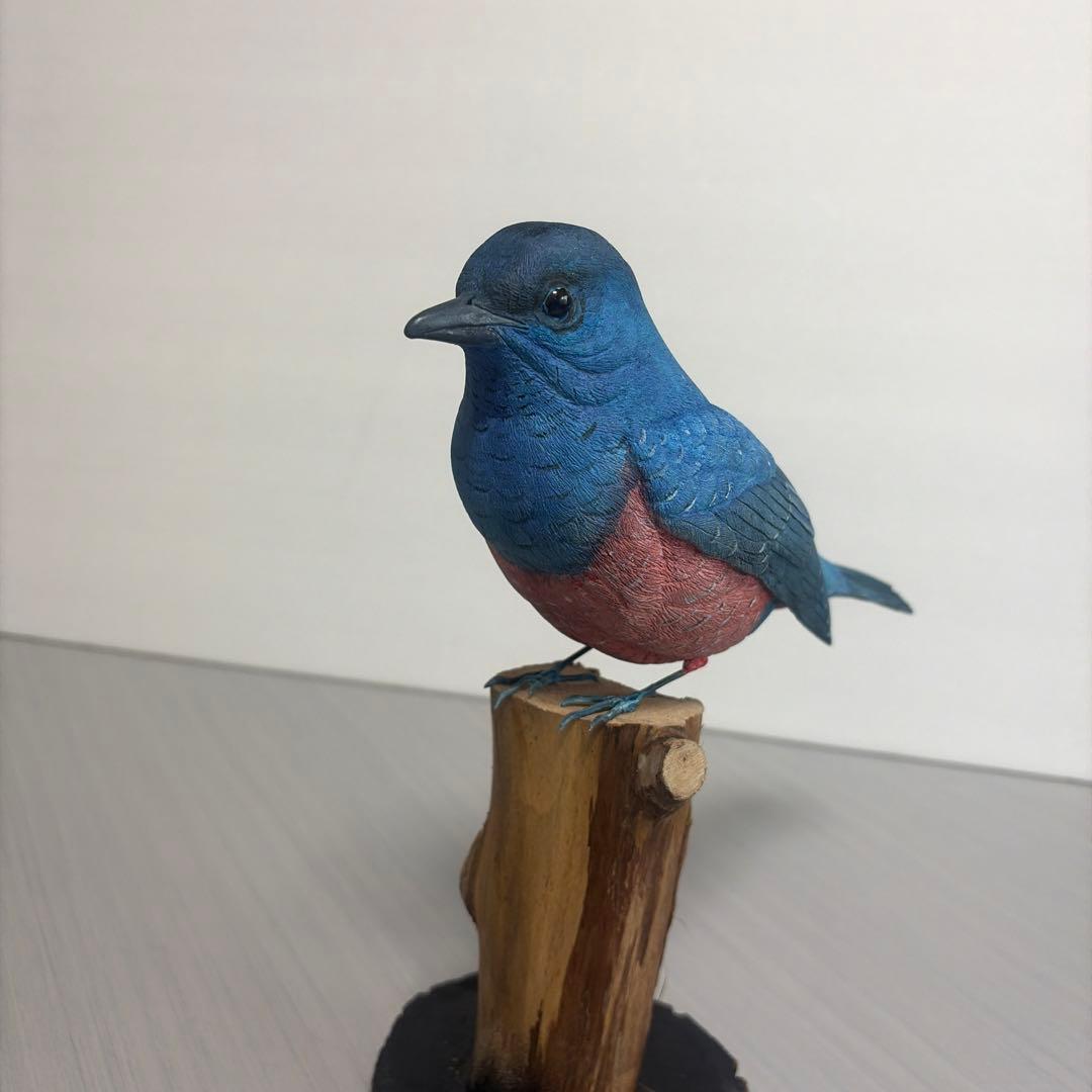 イソヒヨドリ　木彫りの野鳥　野鳥彫刻 　　　　　　リアルバードカービング