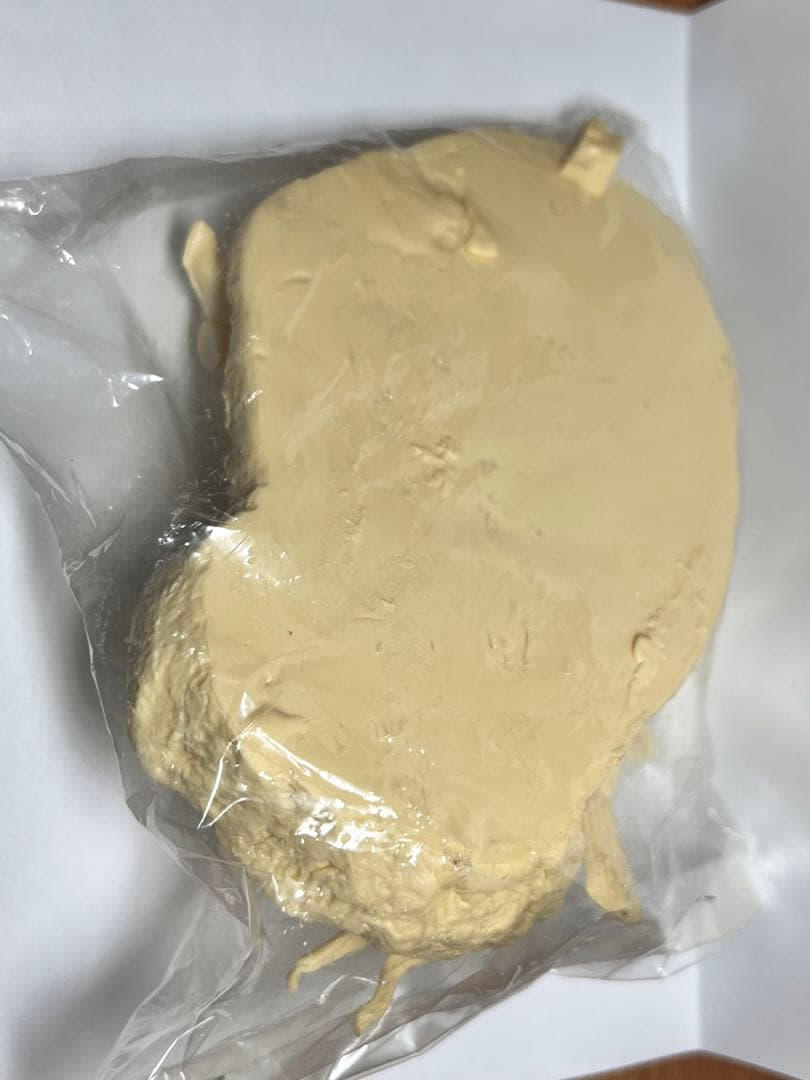 海洋堂　ガラパコスコバネウ　レジンキット 動物 生き物 フィギュア　松村しのぶ