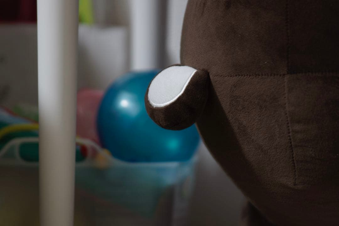 レンズ(ズーム) minolta AF 80-200 High Speed APO F2.8