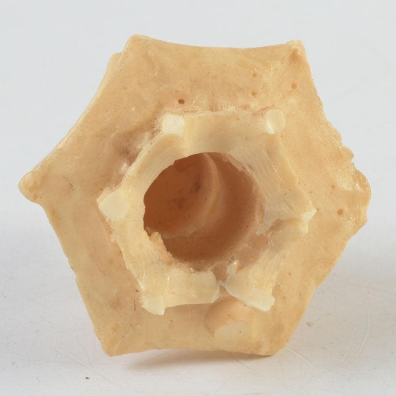 中国　河馬牙製　楼閣山水透かし雕　床飾　置物　唐木台付　V　9341