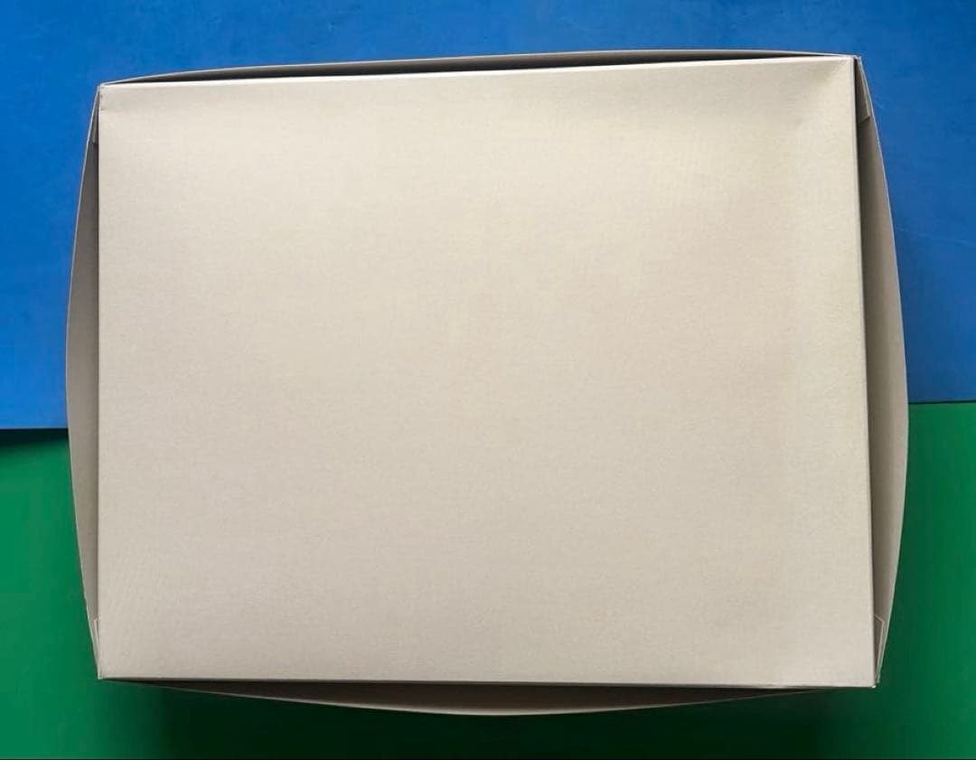 新品未開封　MG GUNDAM EXIA IGNITION MODE 初回限定