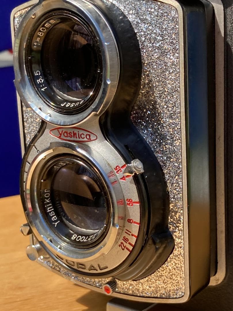 爽やかな風に乗って　キラキラ感２ＵＰ　YASHICA FLEX インテリアにも