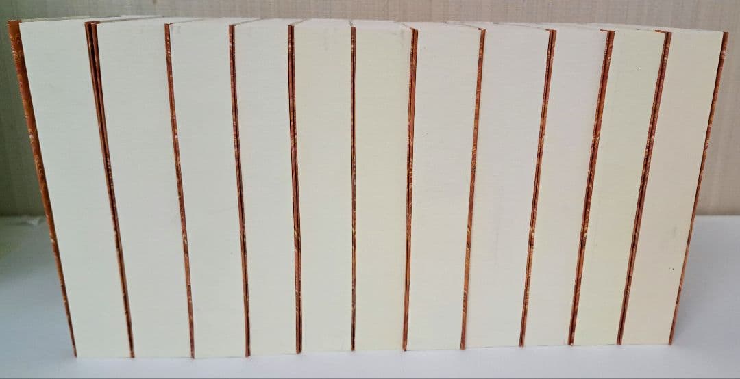 初版　上智大学中世思想研究所翻訳　キリスト教史　全11巻　平凡社ライブラリー