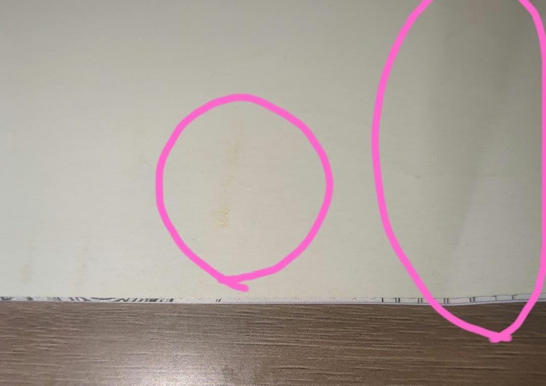 ベルサイユのばら 結婚準備ダンドリBOOK ゼクシィ付録