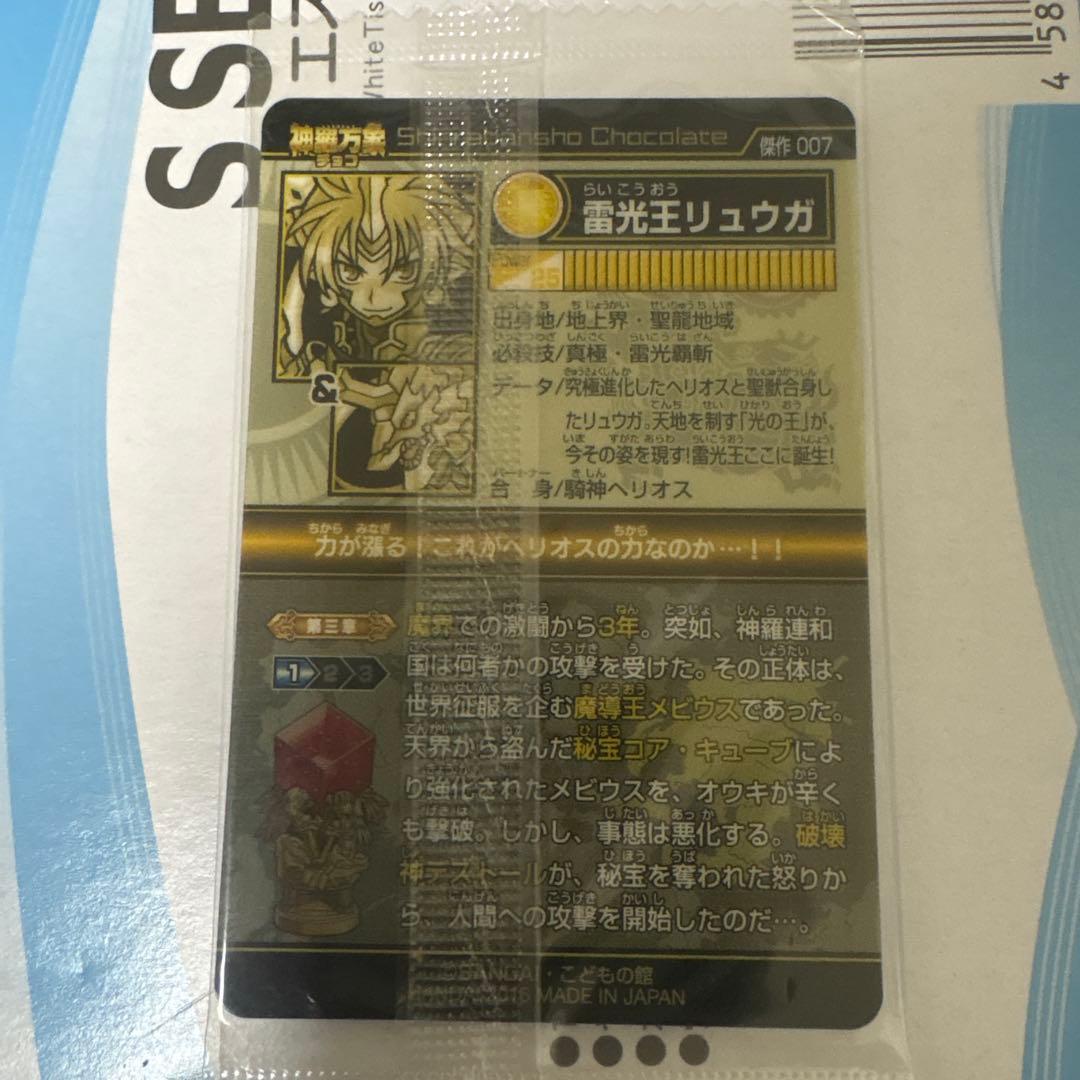 雷光モリュウガ トレーディングカード 007