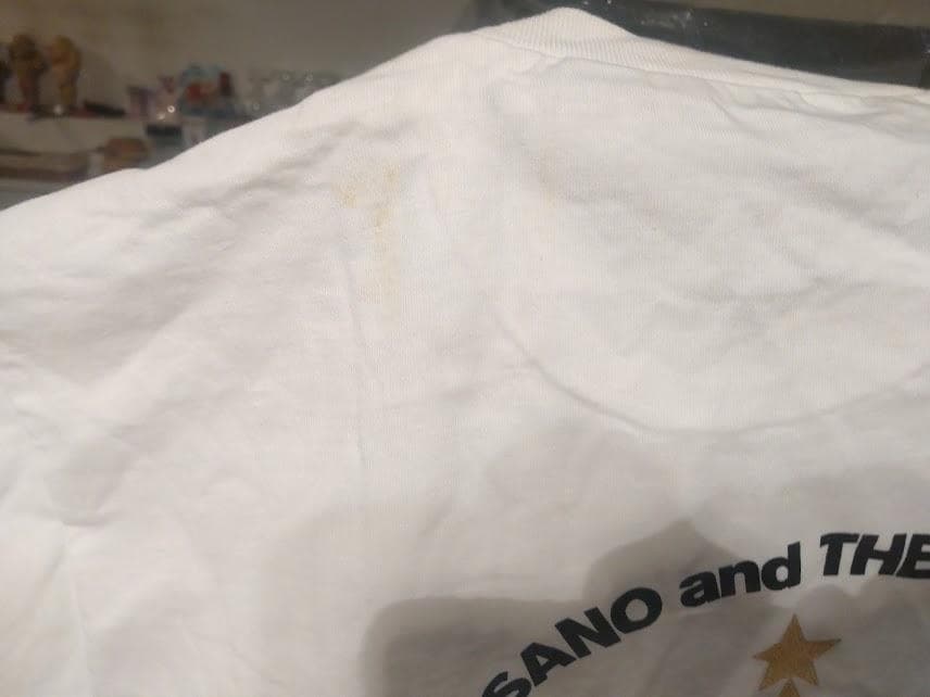 1998年 Barn THE HOBO KING BAND 佐野元春 Tシャツ