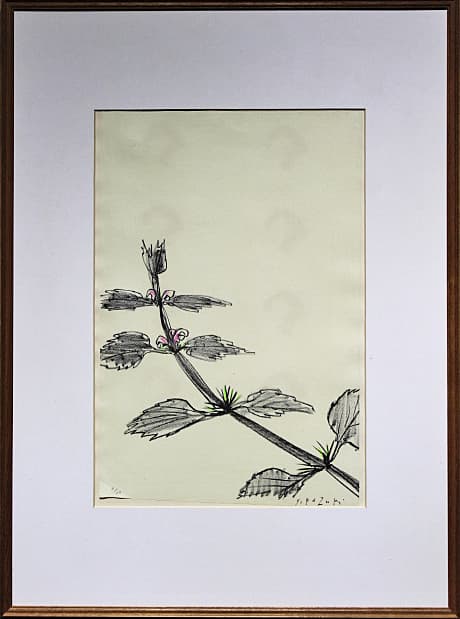 香月泰男 【踊り子草】 手彩色 リトグラフ