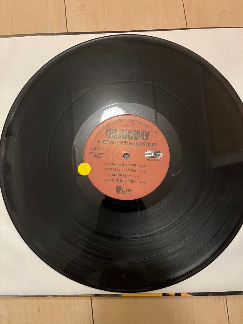 BLAHRMY A Report of the Birdstrike レコード