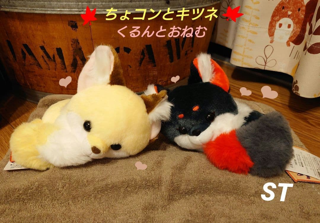ちょコンとキツネ くるんとおねむ ようかん こんぺいとう ST
