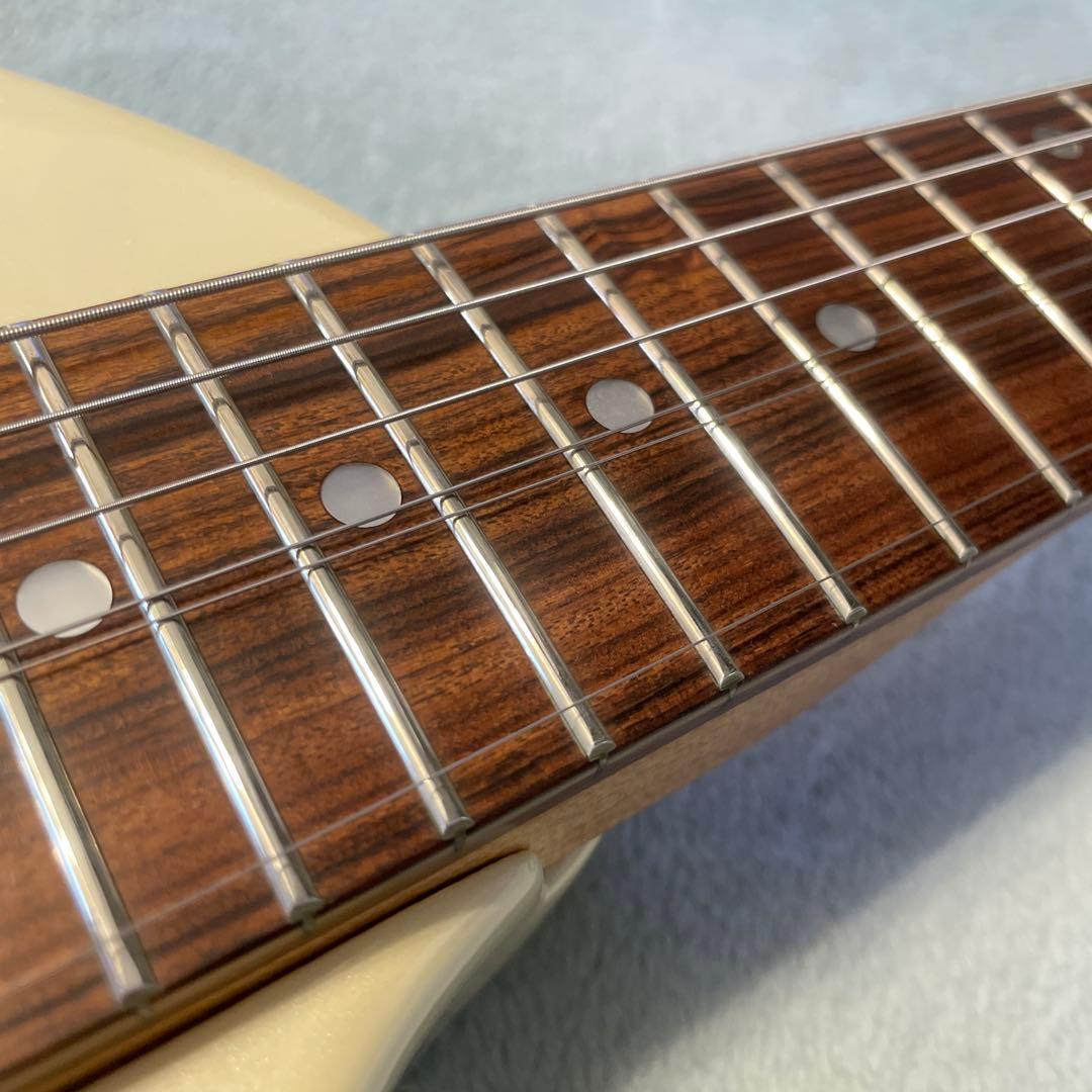 DIGI-ZO Fernandes コンデンサ交換済み