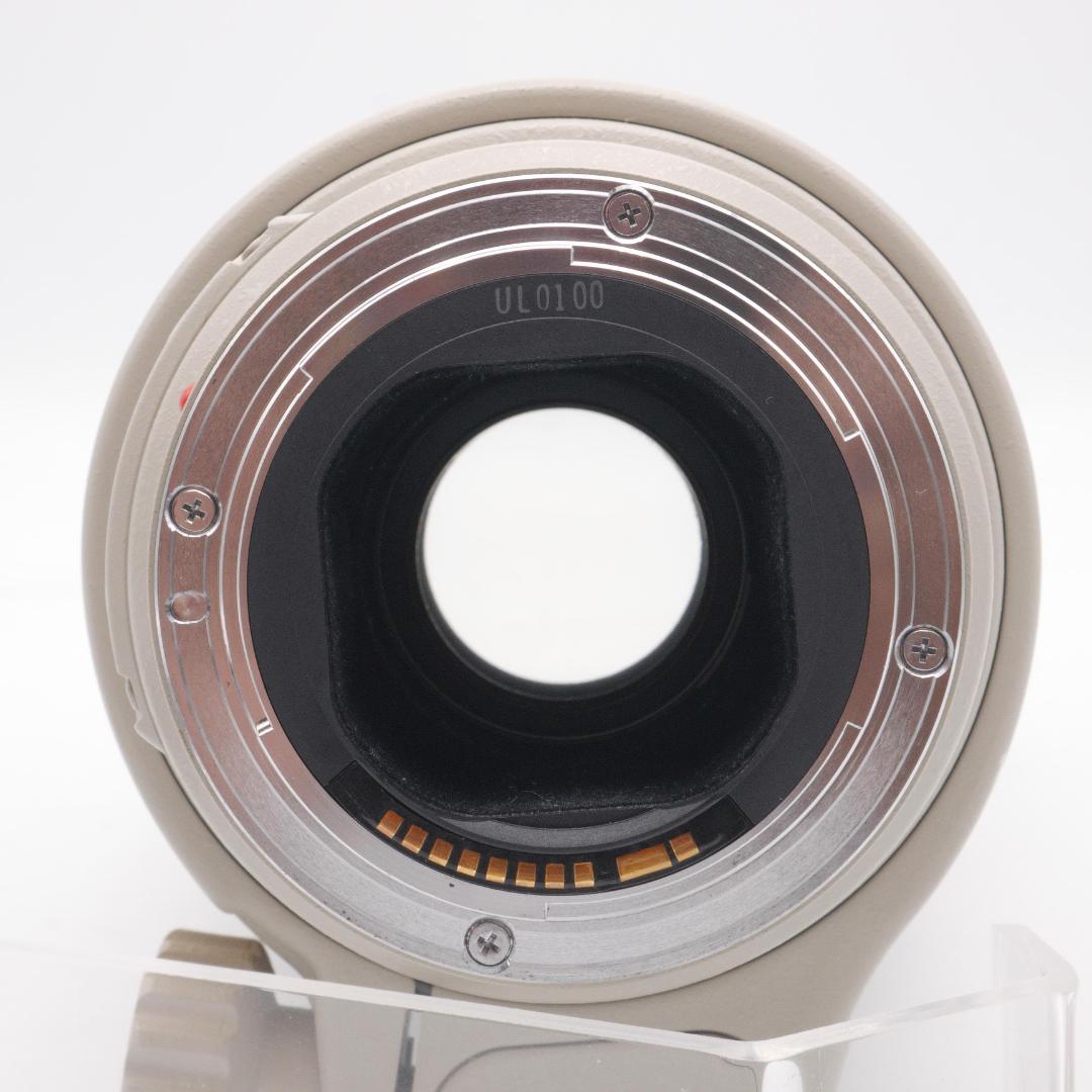 Canon EF 300mm F4 L IS USM キヤノン