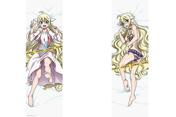 FAIRYTAIL抱き枕カバー＋キャラグッズ