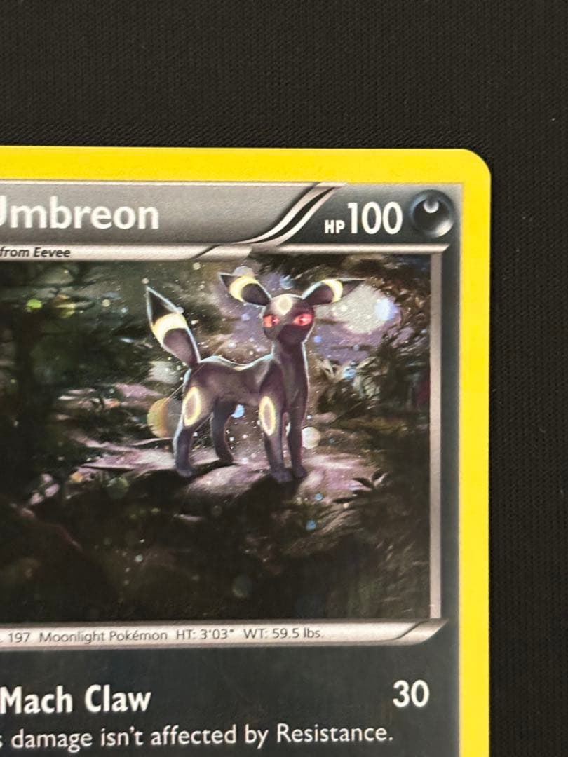 d*4様 ブラッキーナイトバトルプロモ英語版 xy96 正規品Umbreon