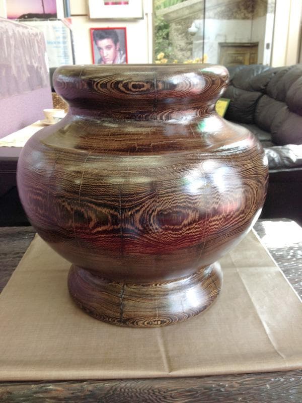★ラッキー特価！★ タガヤサン（鉄刀木）45cm 　特大壷
