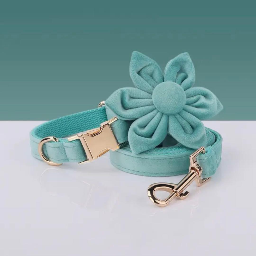 オーダー 首輪 名前 ハーネス ベルベット バックル ティファニー スカイブルー