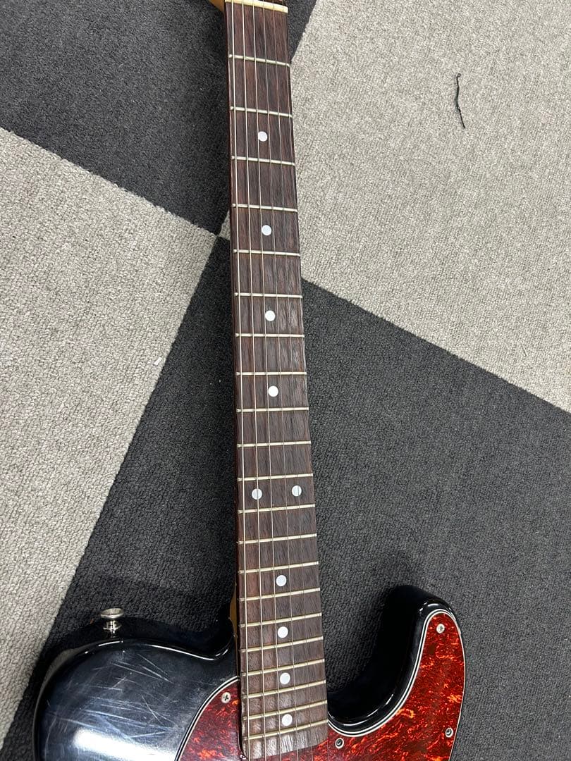 Bacchus Classic Series テレキャスター