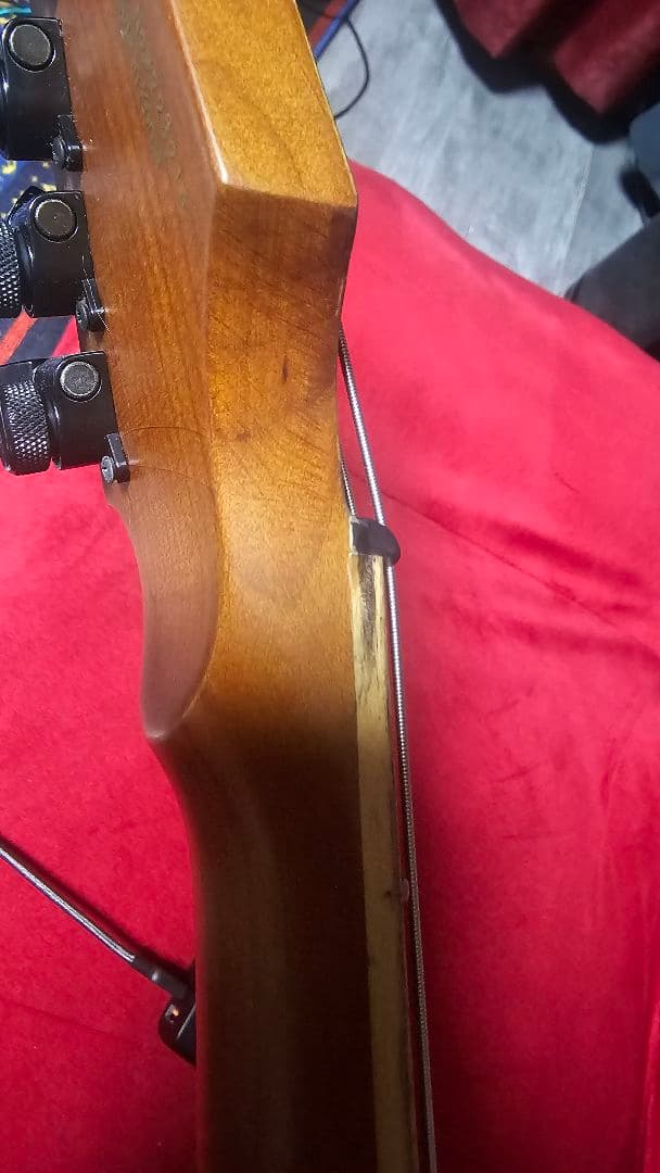 ギター Legator Ninja N7FOD Jupiter Buckeye Burl