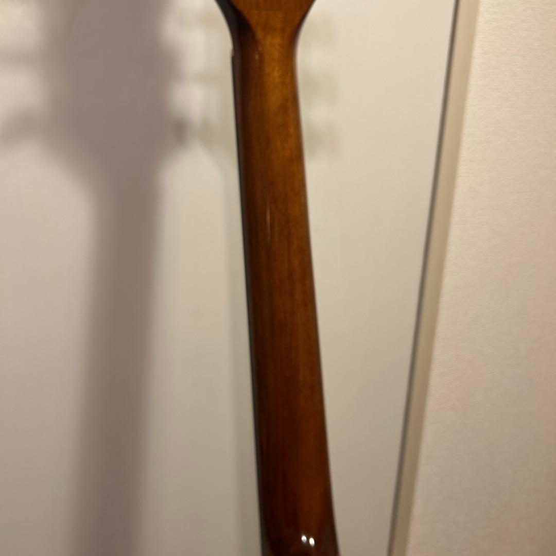 MorrisG-021 RBS 縦ロゴトップ単板フレイムマホガニー純正ギグバッグ