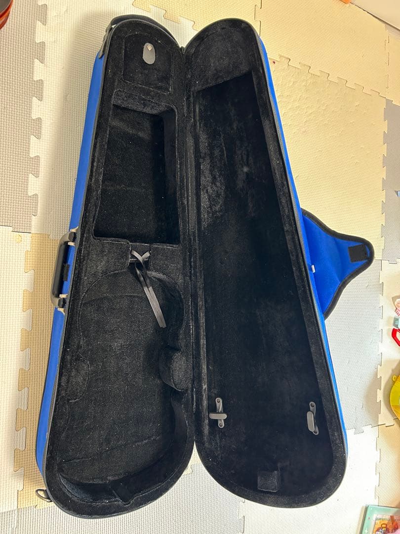 Carlo Giordano カルロジョルダーノ バイオリン VS-F1 4/4