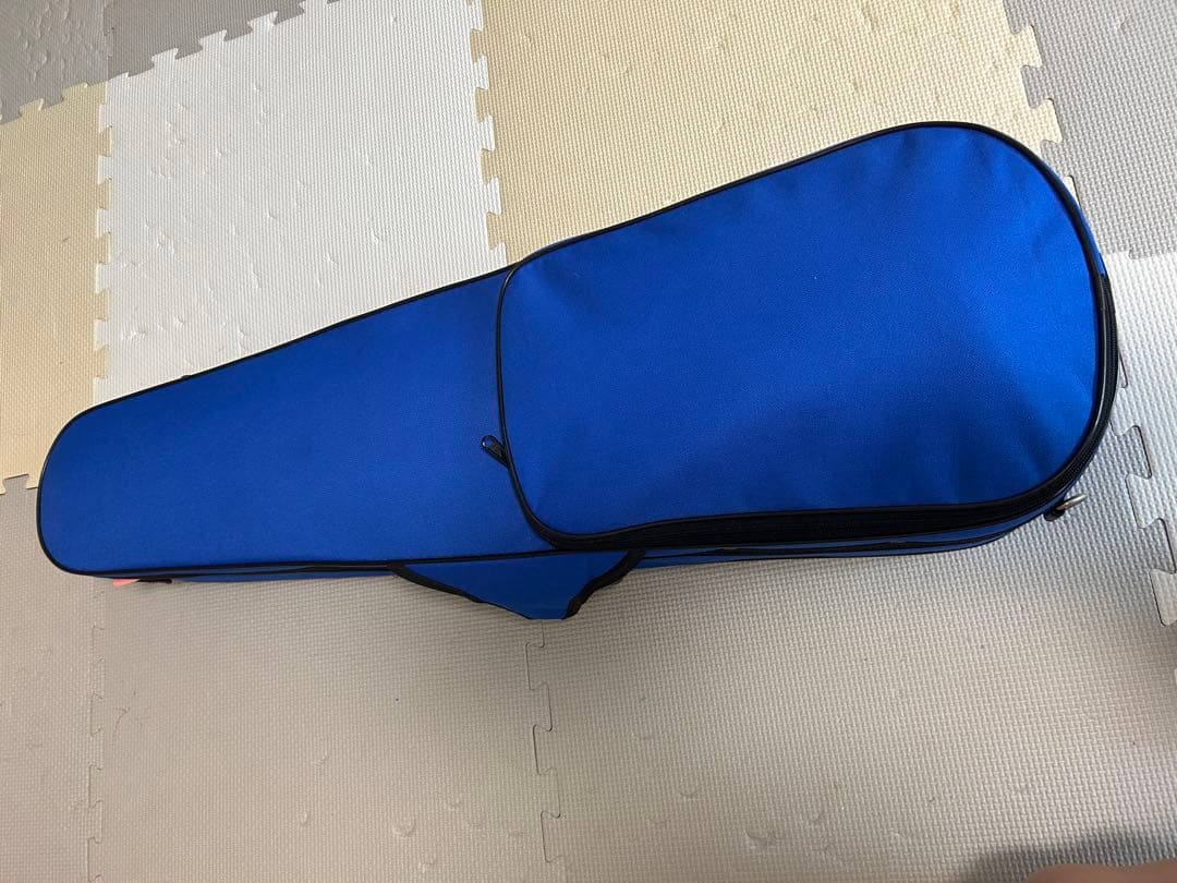 Carlo Giordano カルロジョルダーノ バイオリン VS-F1 4/4