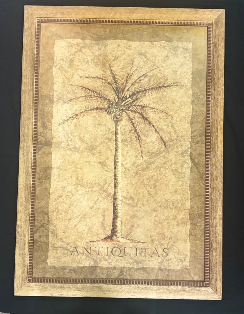 ヤシの木額入り装飾版画 1月限定価格！