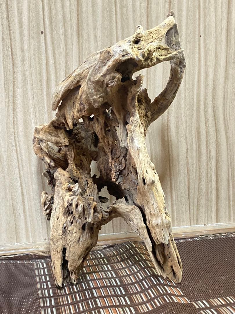 大型流木 44×28×24cm no.96