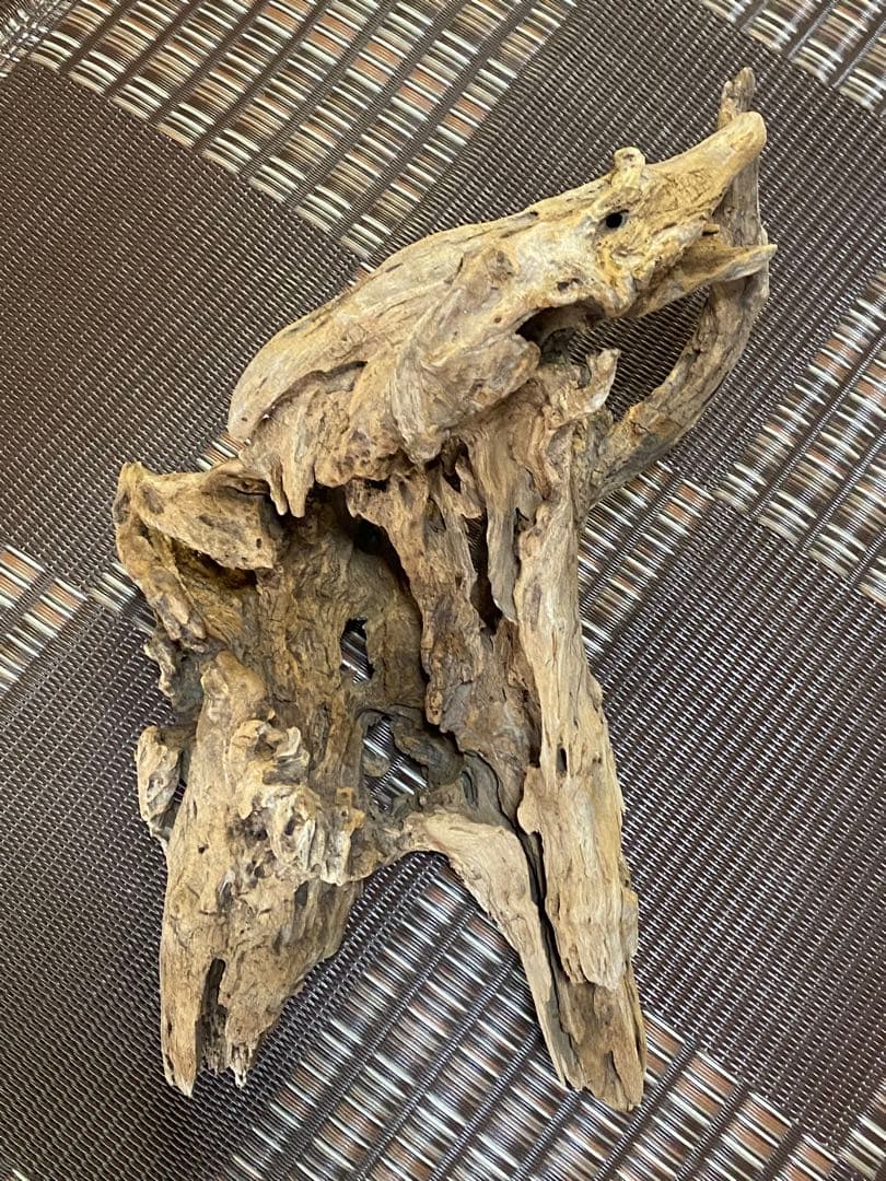 大型流木 44×28×24cm no.96