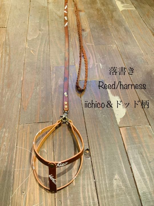 犬用【本革】リード&ハーネス&ハンドフリーベルト3点セット