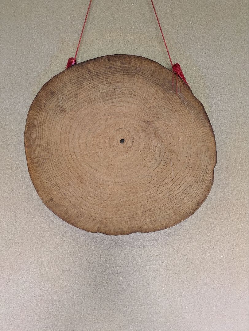 桐製　壁掛け　壁飾り　輪切り　年輪　床の間　玄関