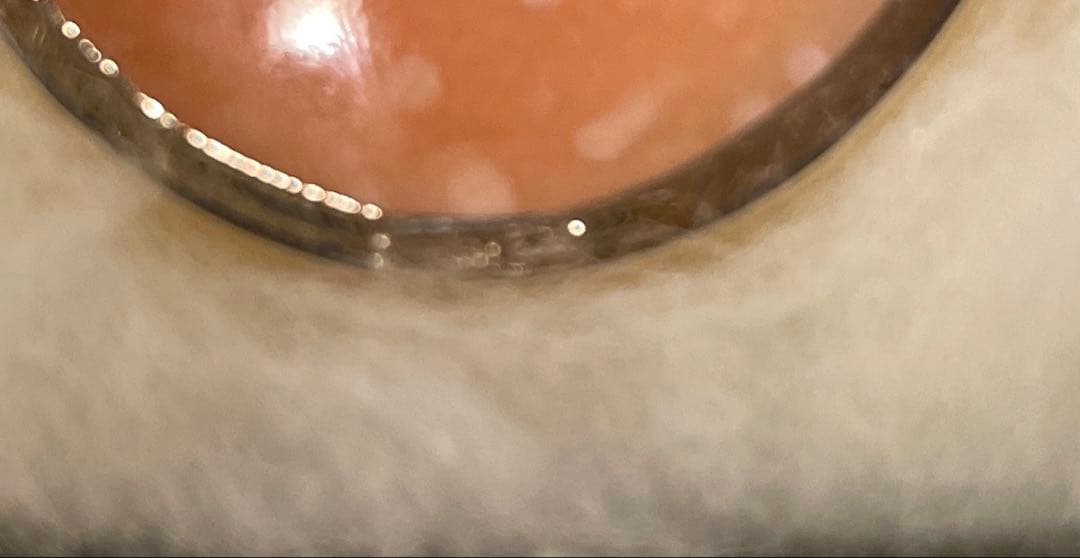 未使用品【イタリアローマのカメオ専門店で購入】カメオブローチ 女性の横顔 花