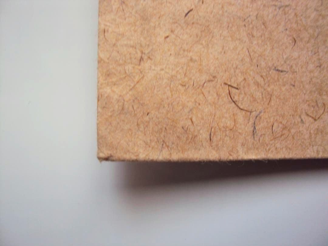 レッドウイング　アイリッシュセッター　封筒　紙製　レア　約27cm×約22cm