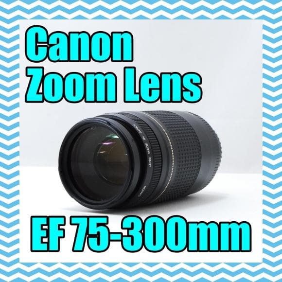 望遠レンズ/Canon キャノン Zoom Lens EF 75-300mm
