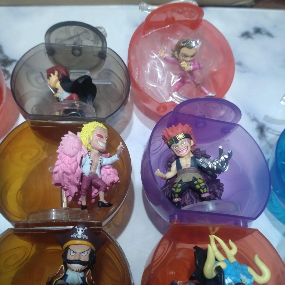 ワンピの実セット