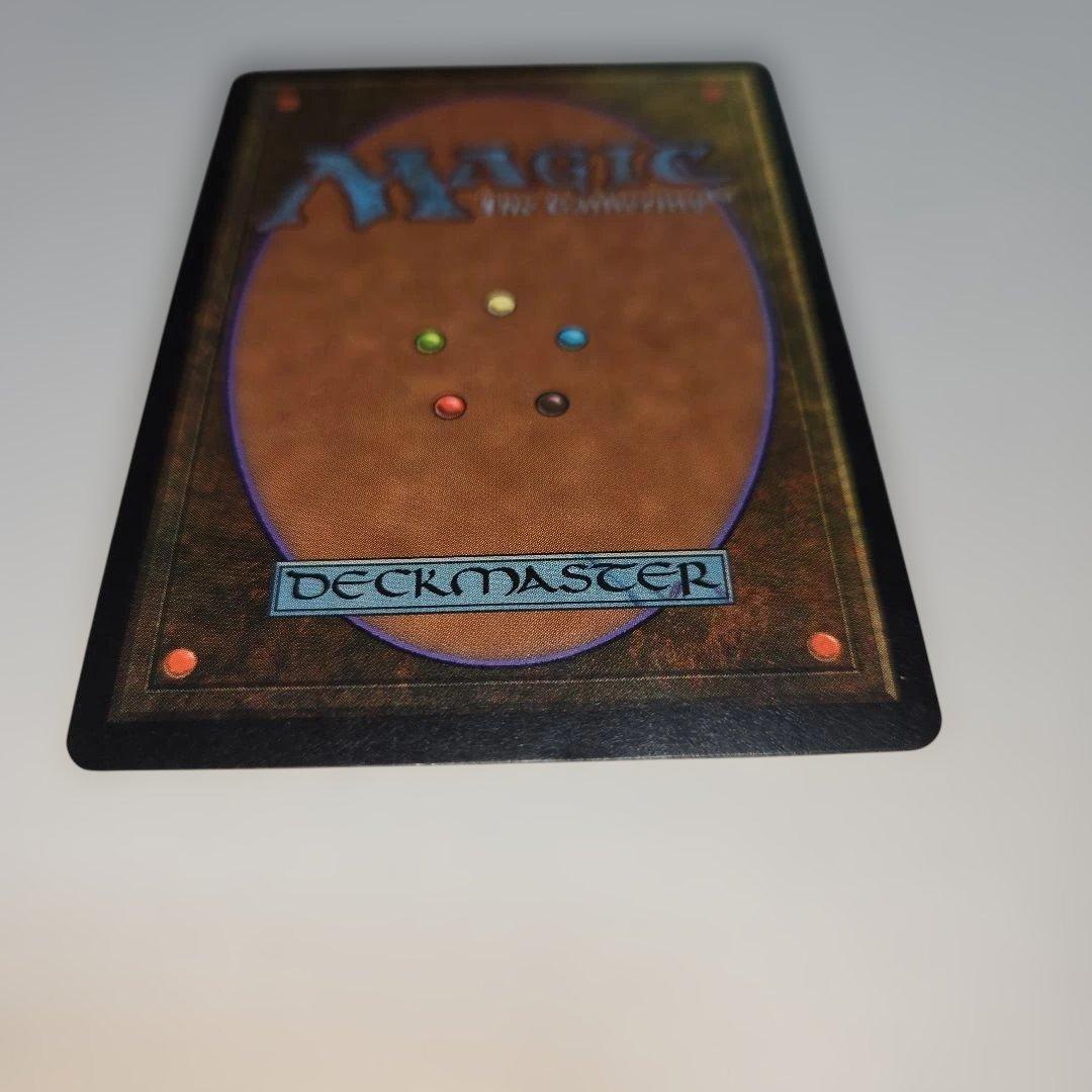 適者生存　日本語版