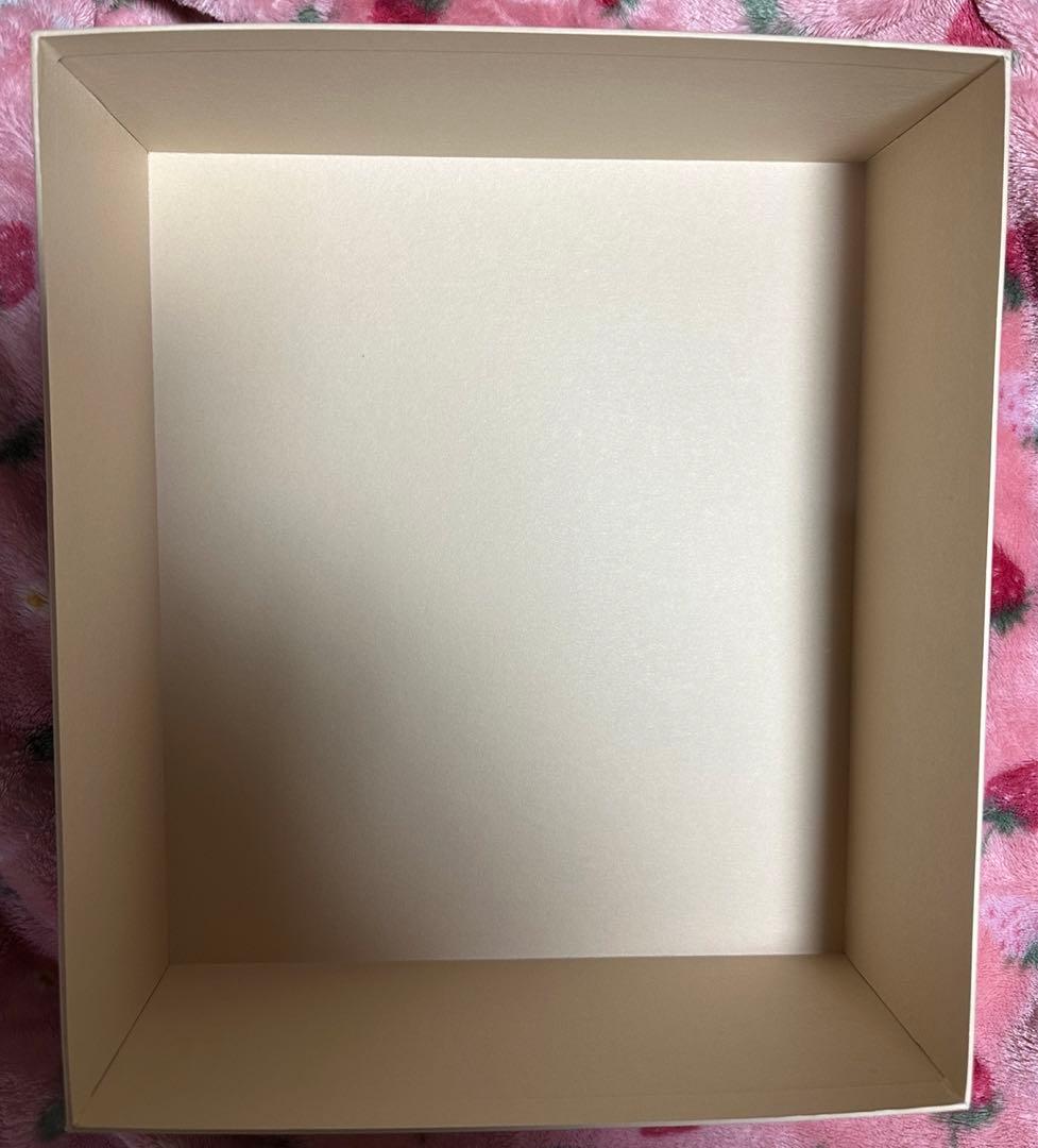 【空箱】　LOUIS VUITTON ルイヴィトン 大きい空箱　袋