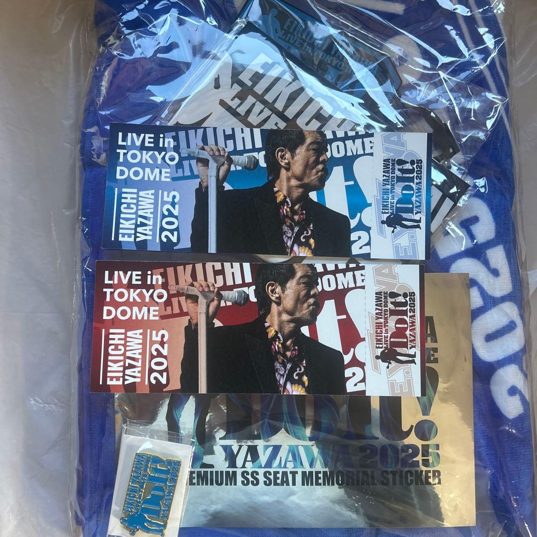 EIKECHI YAZAWA LIVE in TOKYO DOME タオル
